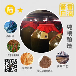 黔國酒業醬香貼牌基酒陸星